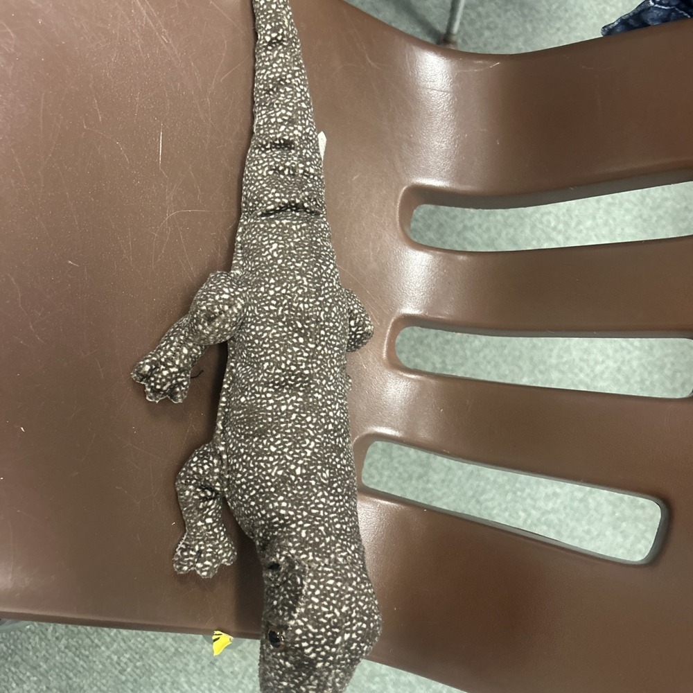 SOS Save Our Space Classic Komodo Dragon Lizard Stuffed Animal 2003 Realistic